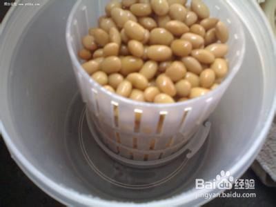 納豆有什么功效