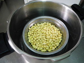 自制納豆的做法,自制納豆怎么做好吃,自制納豆的家常做法 西馬梔子