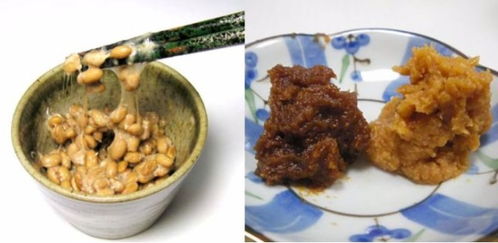 想降低死亡風險 納豆可以試試