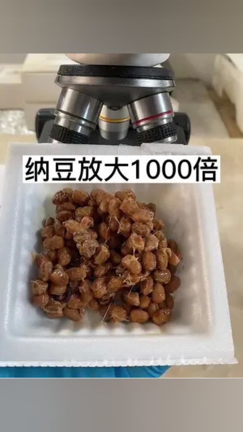 你們愛吃納豆嗎