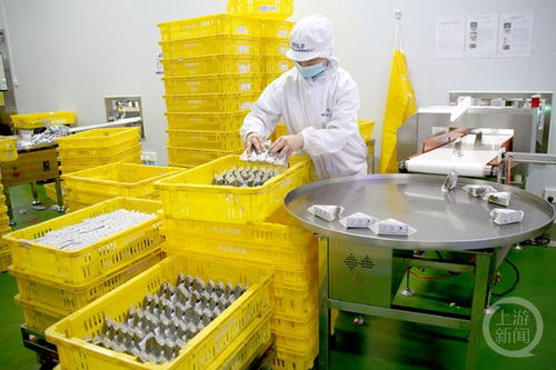 重慶首個5g數字食品工廠在西部 重慶 科學城投產