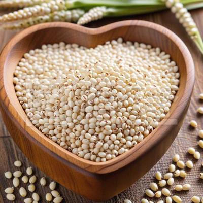 納豆的功效與作用