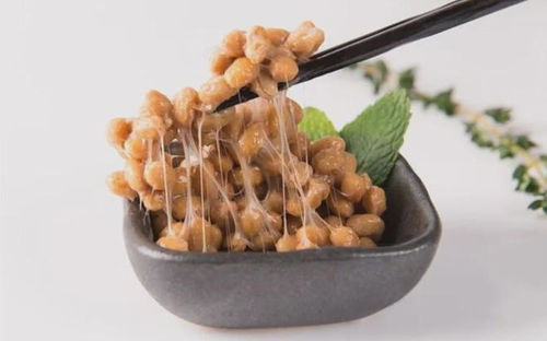 發酵食品與營養健康專家研討會在京舉辦,納豆為何成 主角