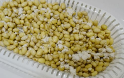 如何用小熊酸奶機做納豆