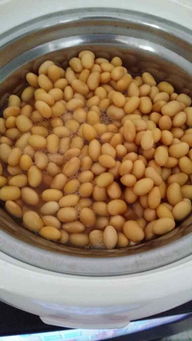 自制納豆,自制納豆怎么做好吃 自制納豆的做法大全 家常做法 好豆