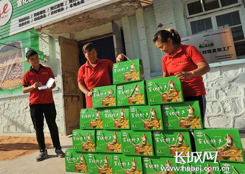 宣化 電商登陸 貧困村