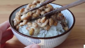 日本小粒納豆試吃