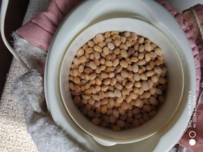 鮮納豆的做法 鮮納豆怎么做