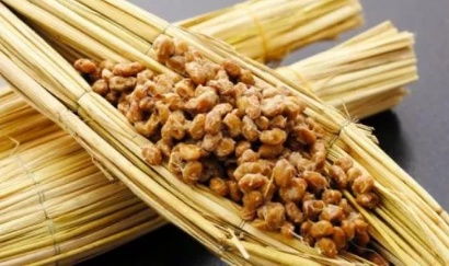 微生物與戰爭 納豆