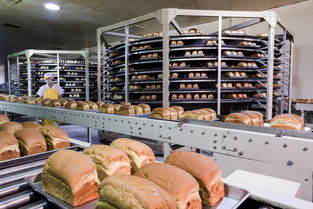 食品廠 無菌 新方法